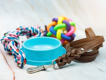 Pet bowl, leash, dog toys