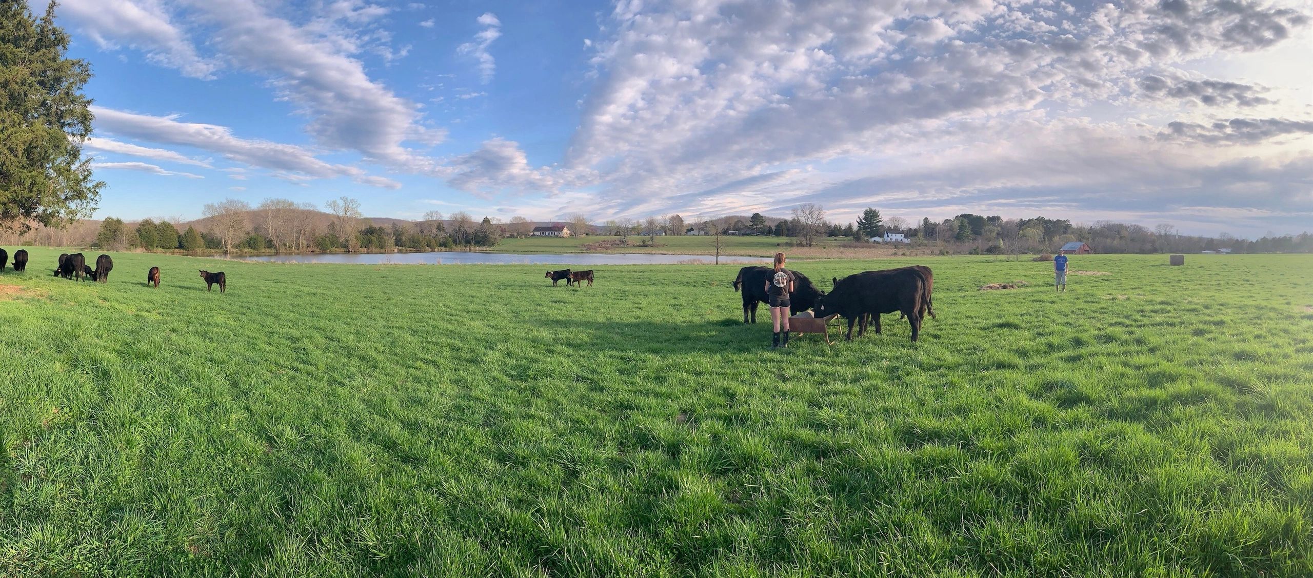 Wagon Wheel Ranch LLC