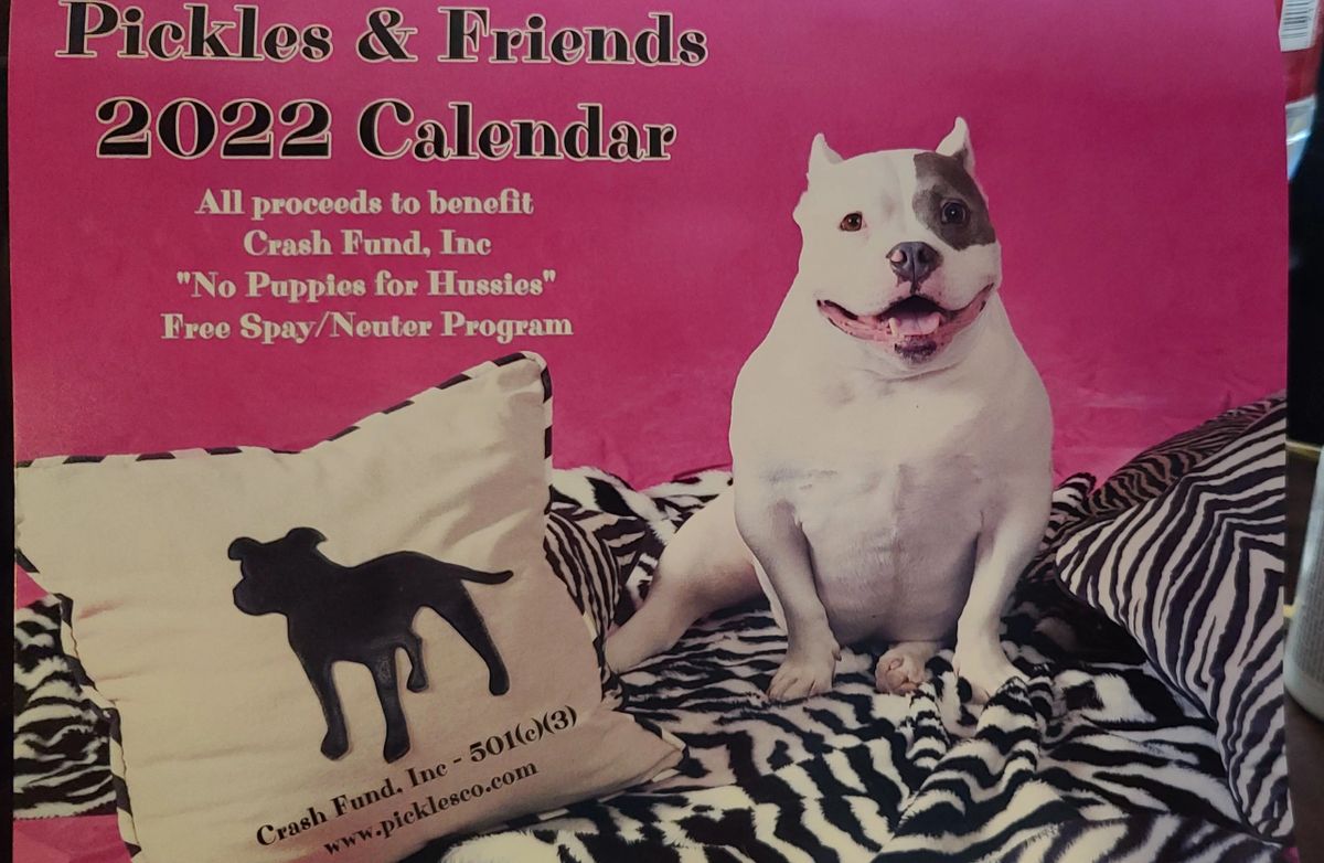 Pickles and Friends 2022 calendar
