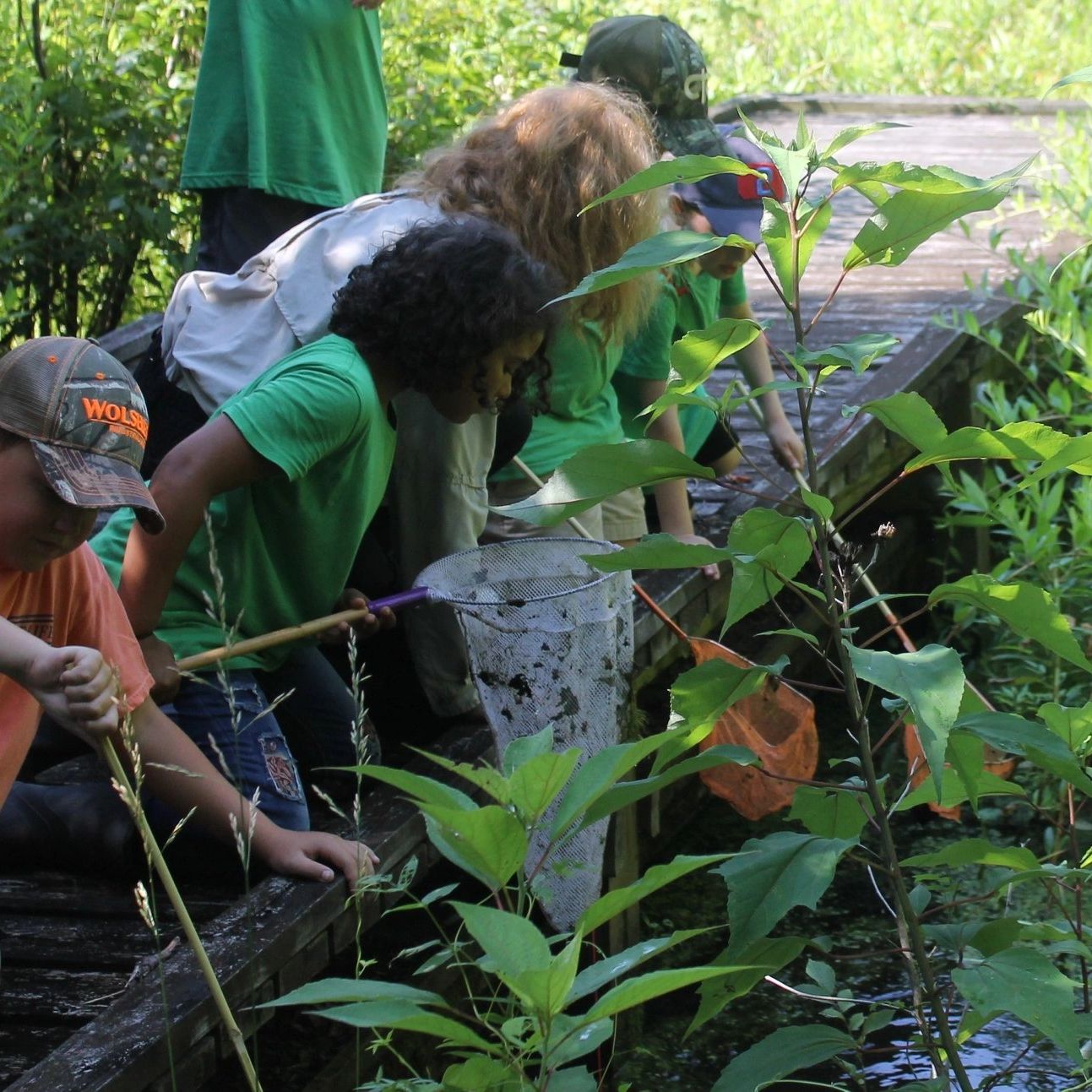 Kids holding nets and searching for something