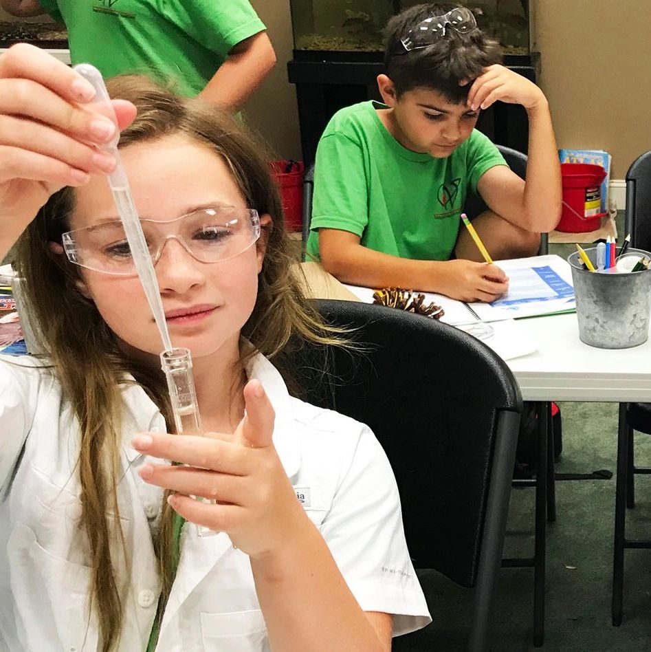 Kids doing chemical experiments
