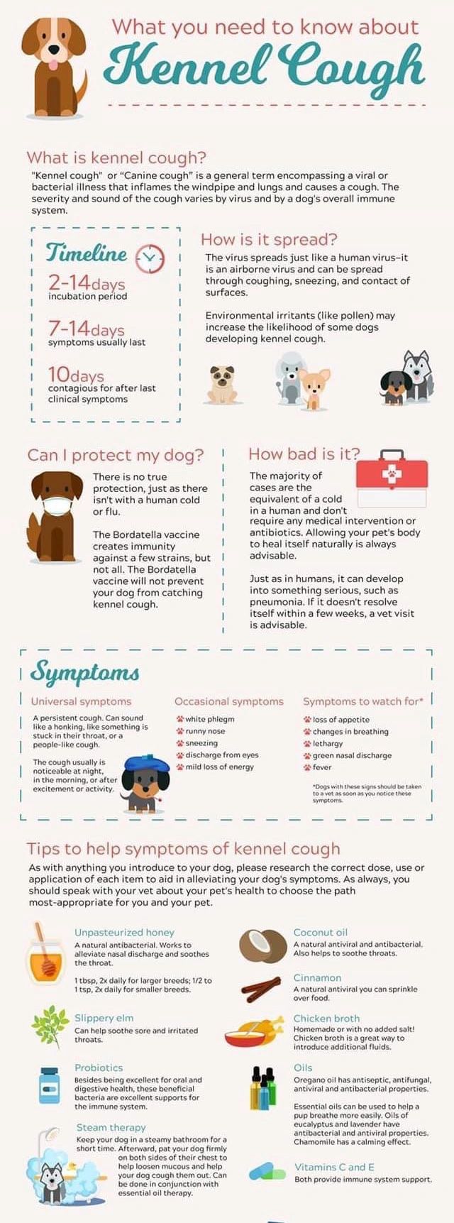 are dog colds contagious