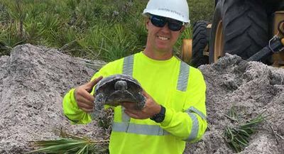 Gopher Tortoise Relocation Services