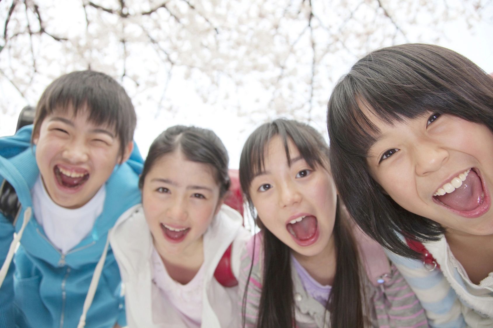 Bloomington Normal Japanese Saturday School