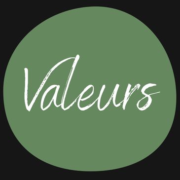 Valeurs de Stratégie Humaine