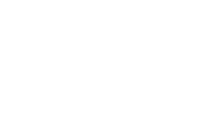 EVIN GOGH