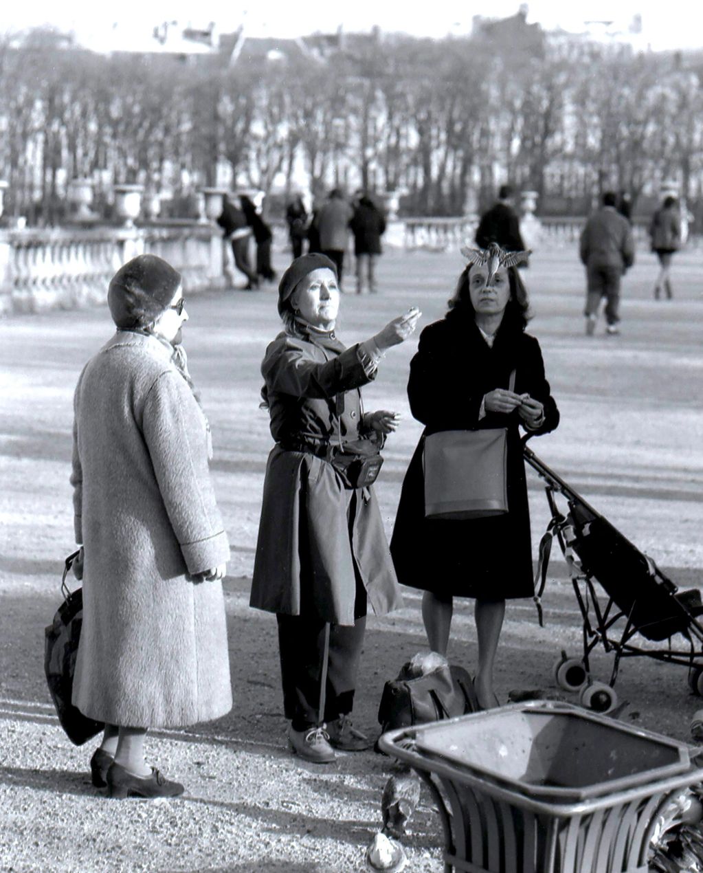 Bird Feeder Paris 1997
®© Bruce Gates Photo