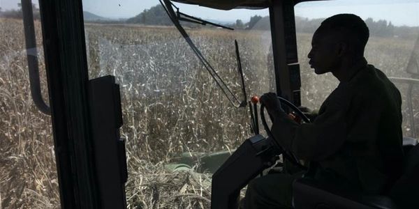 Corn fields are harvested at Ivordale Farm on August 1, 2018 outside Harare, Zimbabwe [Dan Kitwood/G