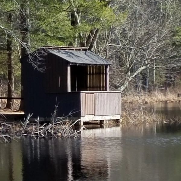 Small wooden cabin by the water surrounded by trees.