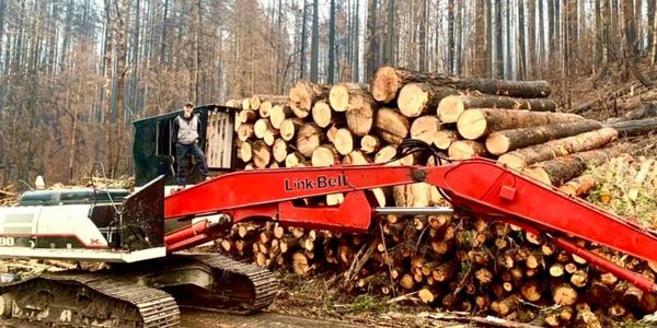 logs stacked next to equipment after falling timber