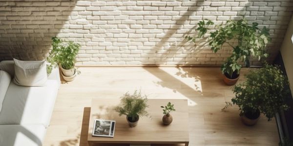 Sunlit minimalist living room with plants and a wooden coffee table.