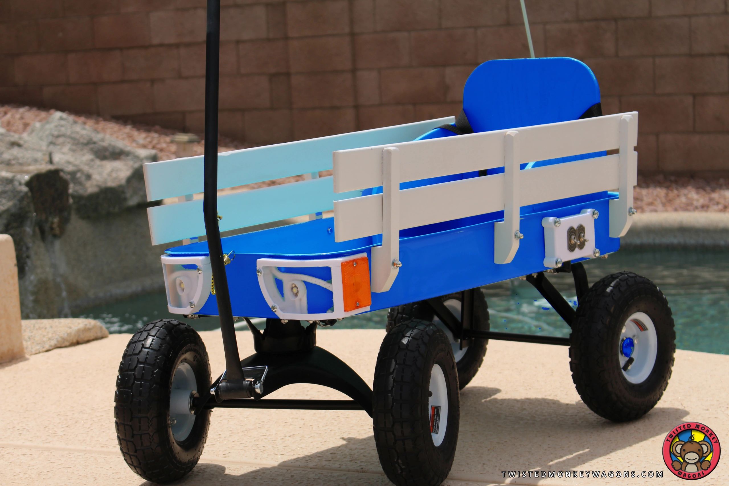 custom kids wagon