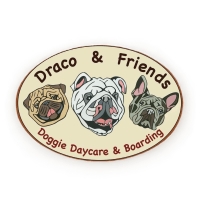 Draco & Friends Doggie Daycare and Boarding
