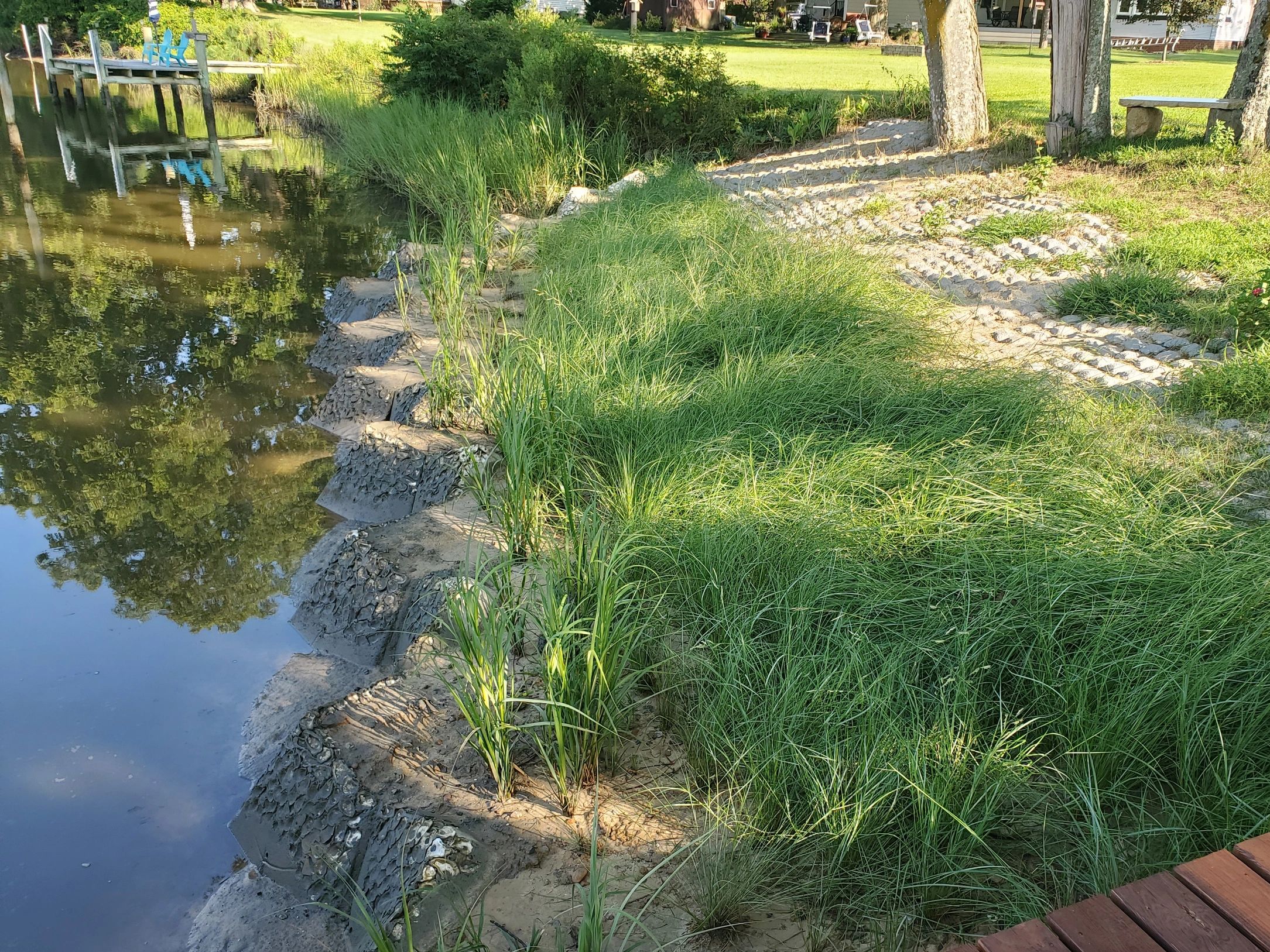 Trees saved, shoreline stablized with Living Oyster Reefs, Living Shoreline at 10:1 slope and Flexam