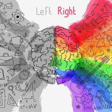 Illustration of brain halves showing logical left and creative right sides.