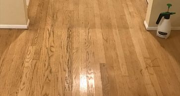 Wood,laminate, vinyl and linoleum floor cleaning and polishing , Orange County , Fullerton