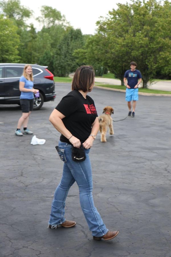 Puppy Lesson, 1:1 Lesson for recall, puppy recall