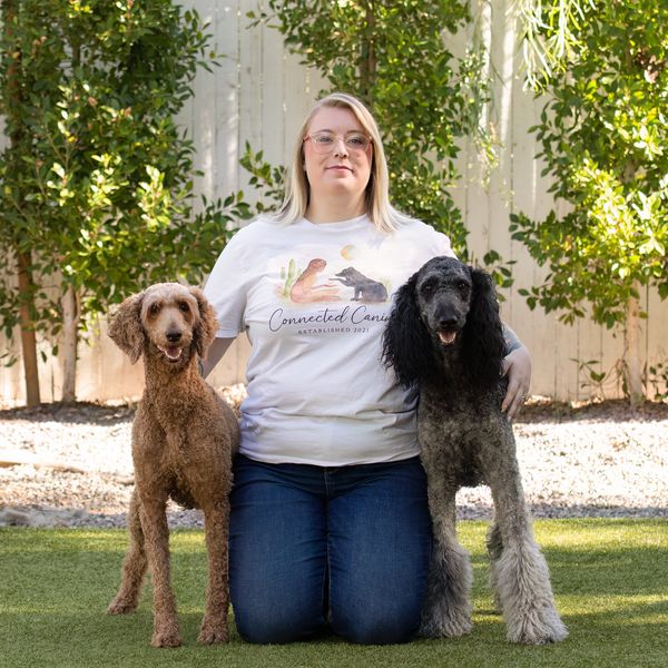 Soldiers Best Friend, Ability Dogs, Service Dog Trainer, Service Dog Phoenix, MST, PTSD Trainer