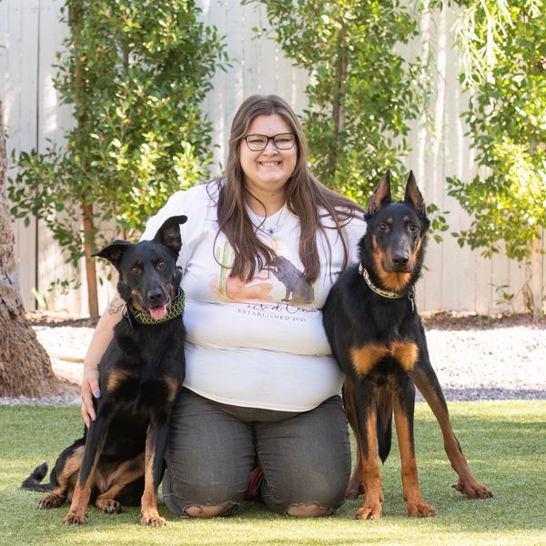 Soldiers Best Friend, Ability Dogs, Service Dog Trainer, Service Dog Phoenix, MST, PTSD Trainer