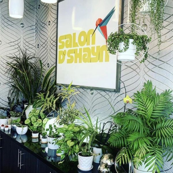 Image of inside Salon D'Shayn reception desk