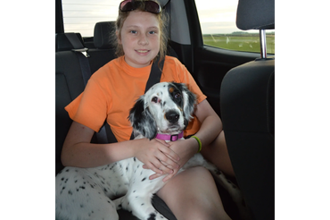 Girl in orange shirt holding a spotted dog in a car backseat.