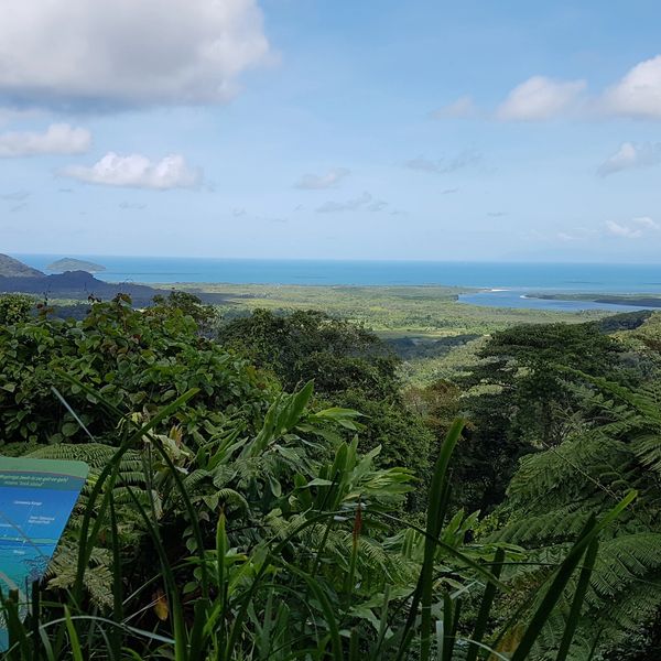Lush green rainforest with a distant view of the ocean under a partly cloudy sky.