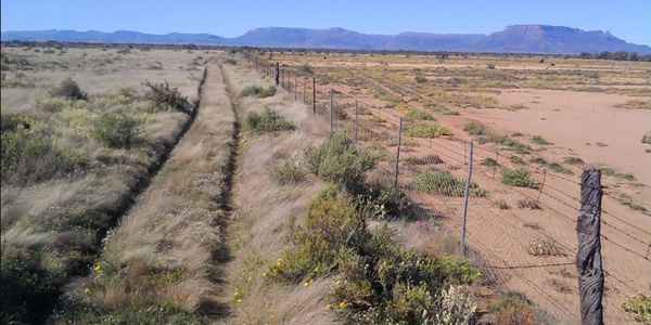 Impact of different management practices either side of a fence