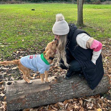 Dog walking and dog relationships