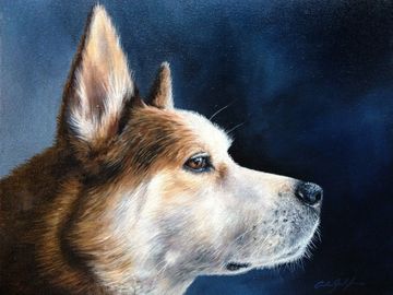 Pet Portrait - Oil Painting
