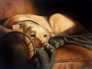 Pet Portrait - Oil Painting