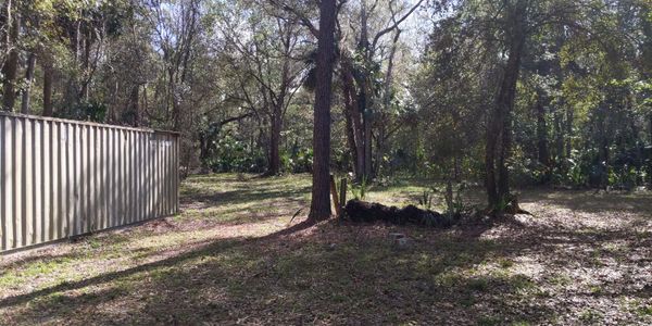 Land clearing excavating tree removal grading