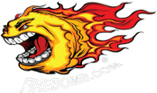 FIREBOMB™