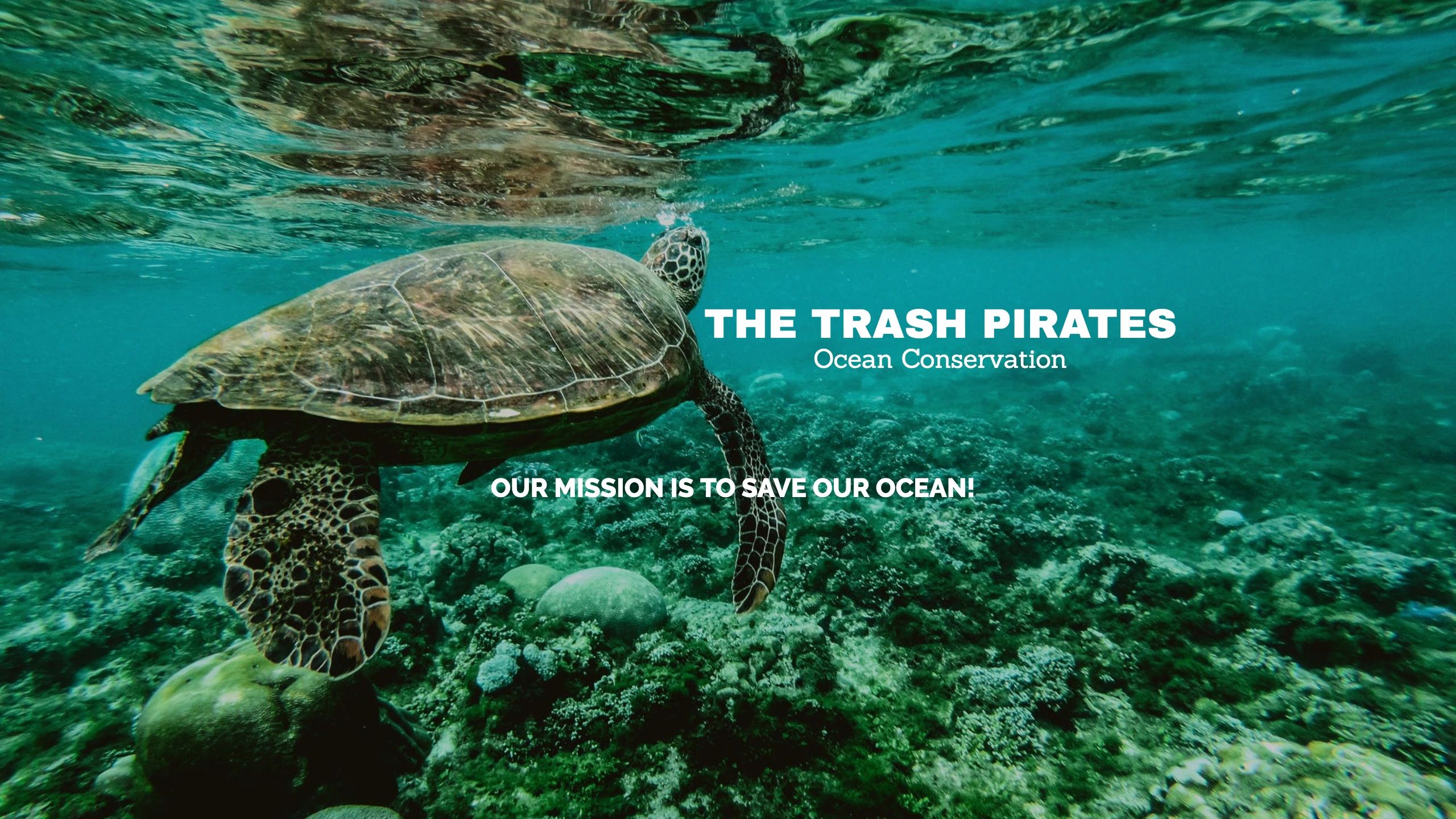 The Trash Pirates - Ocean Conservation, Beach Clean Up