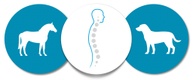 Cheshire Fitness Osteopathy