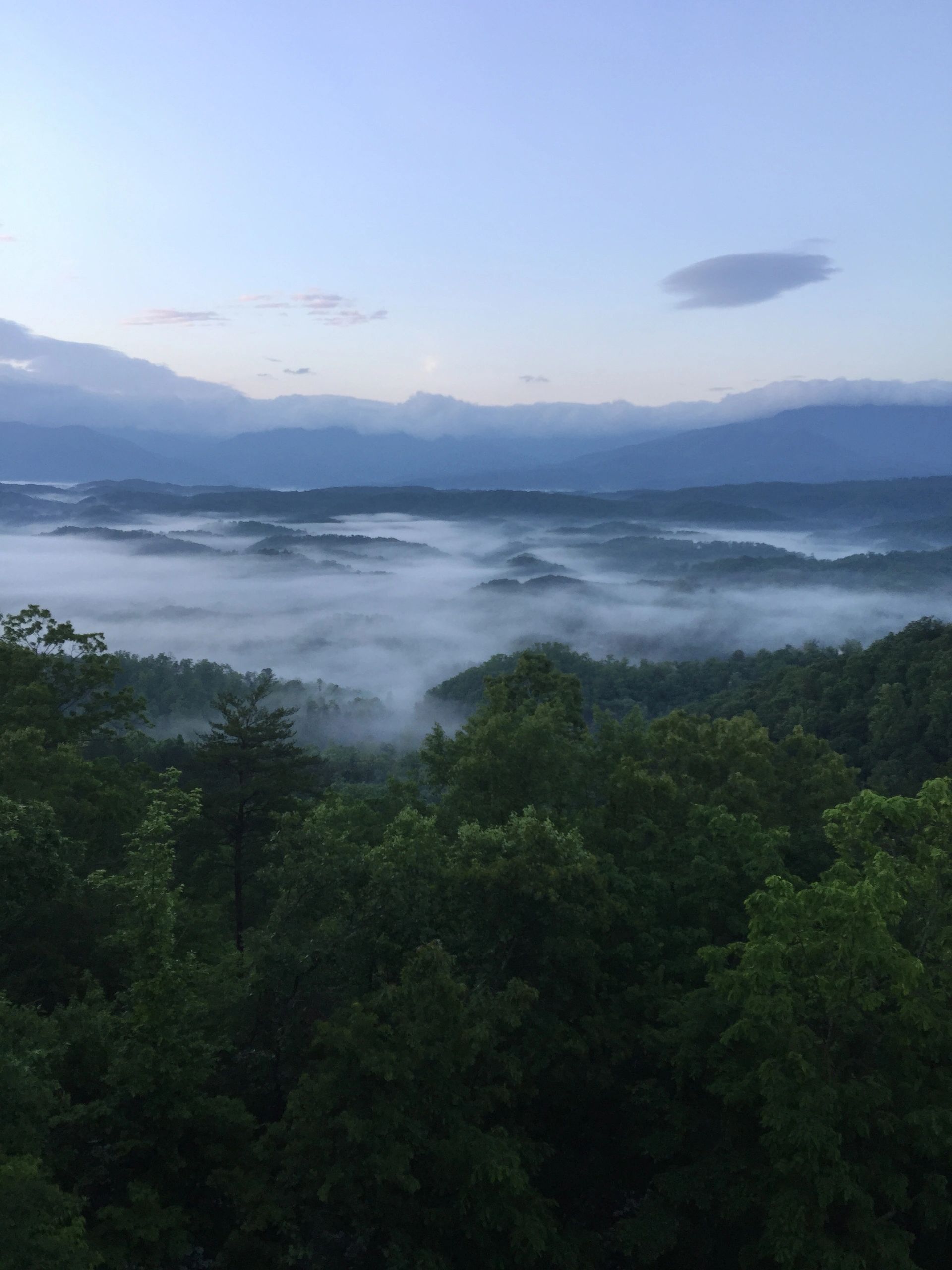 Shields Mountain POA