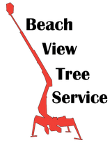 BeachView
Tree Service