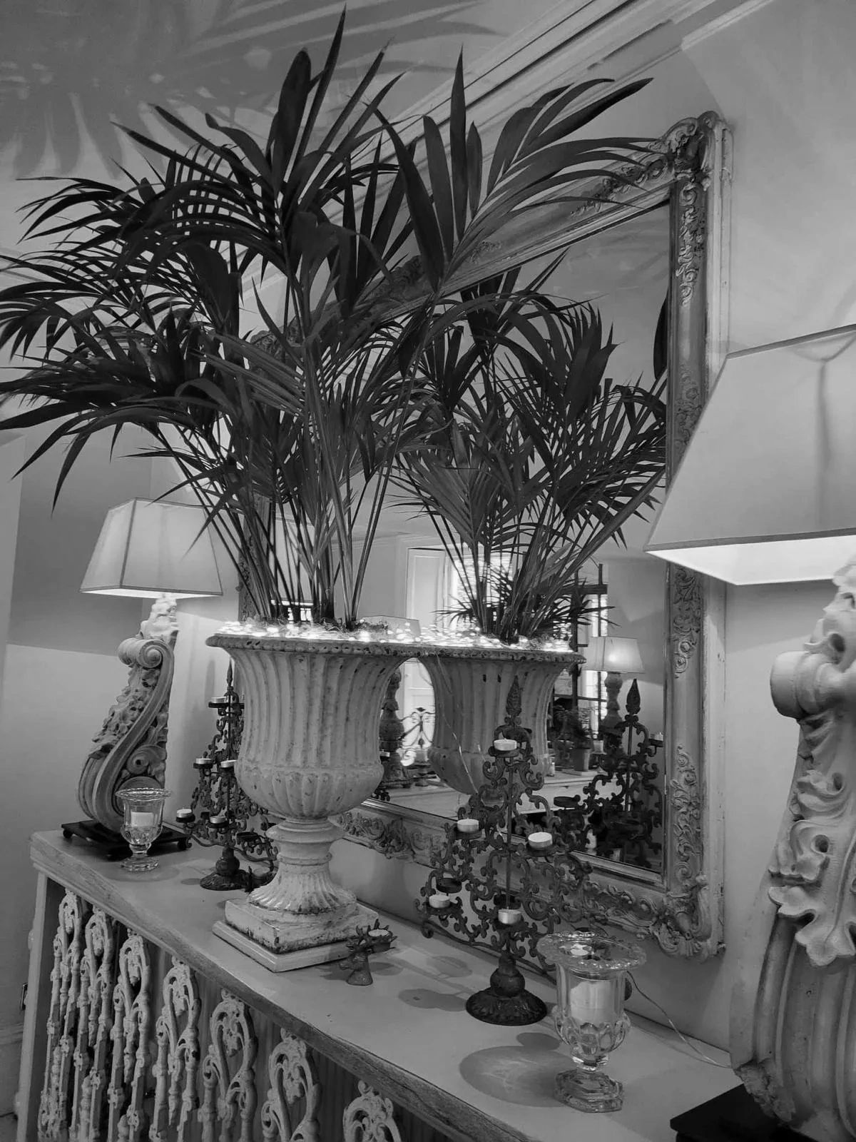 Black and white photo of a decorative indoor setting with plants.