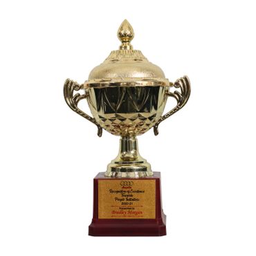 Small plastic Trophy