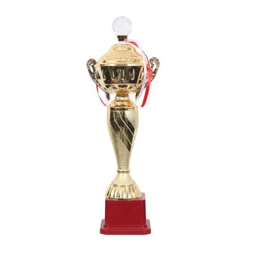 Star Plastic Trophy