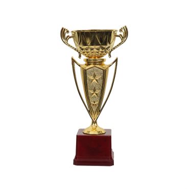 Mid range Plastic Cup Trophy