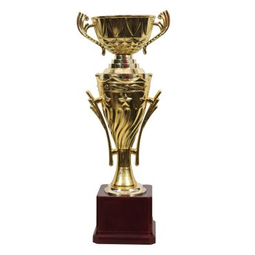 Plastic Trophy Cups