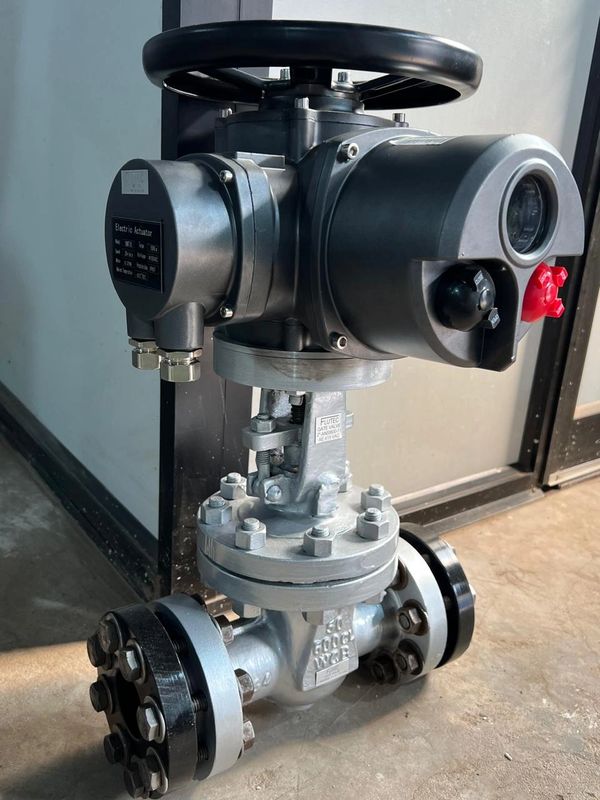 electric gate valve, motorized gate valve, multiturn actuator