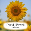 David J Powell 
& 
Associates