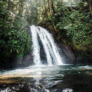 A waterfall in a forest. photo credit: Daniel Öberg on Unsplash