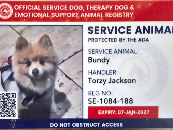 Service dog ID card for Bundy, registered with handler Torzy Jackson.