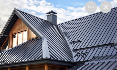 Modern house with a sleek black metal roof and wooden siding.