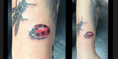Ladybug tattoo by Katie 