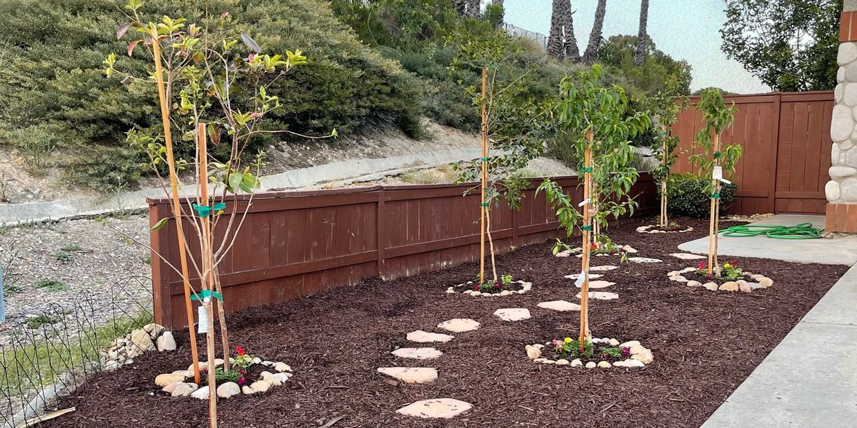 San Diego Fruit Tree Expert Fruitmommy Organic Solutions llc