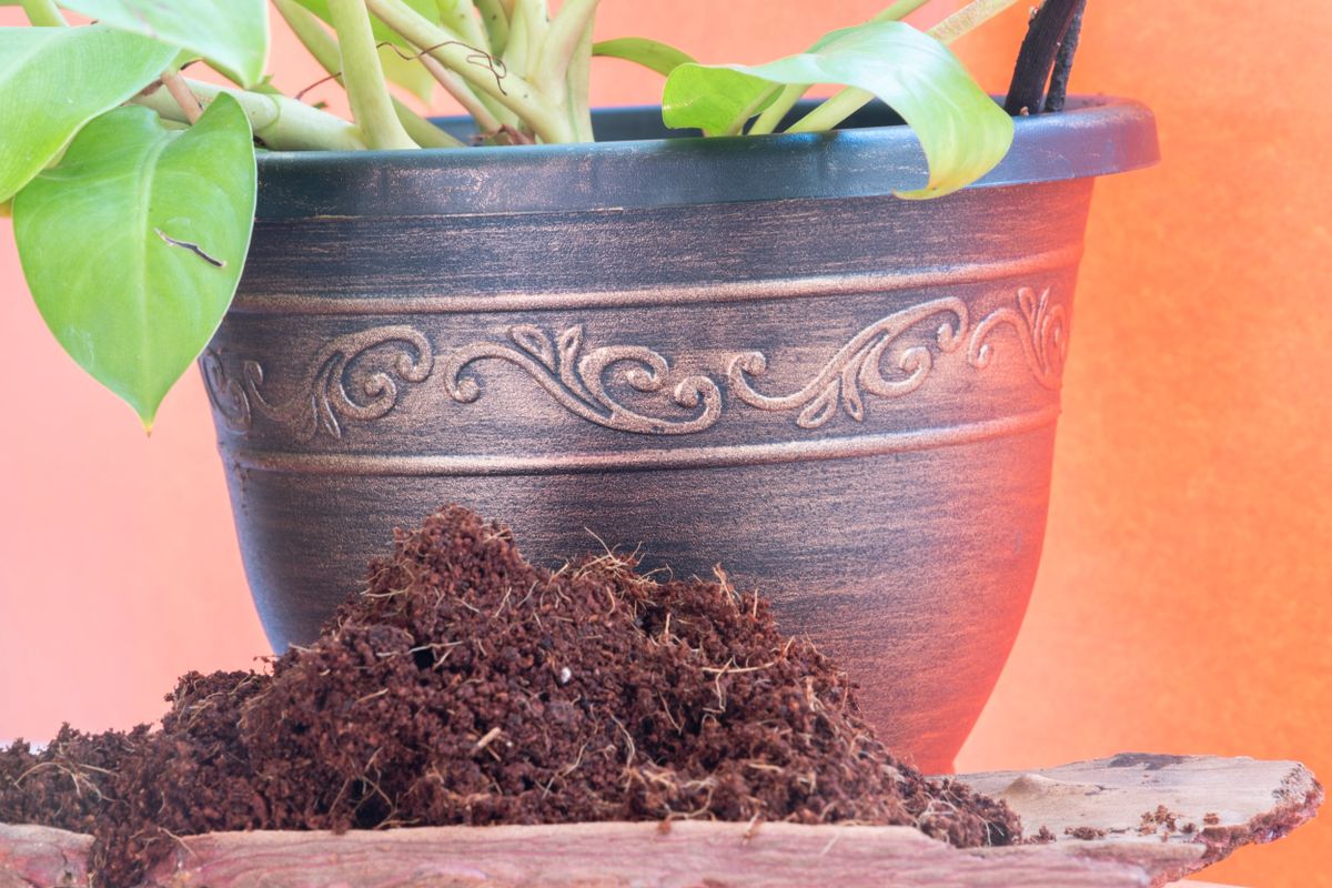 Coco Fiber Blocks Coir 5kg(11lbs)