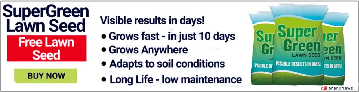 Super Green Lawn Seed